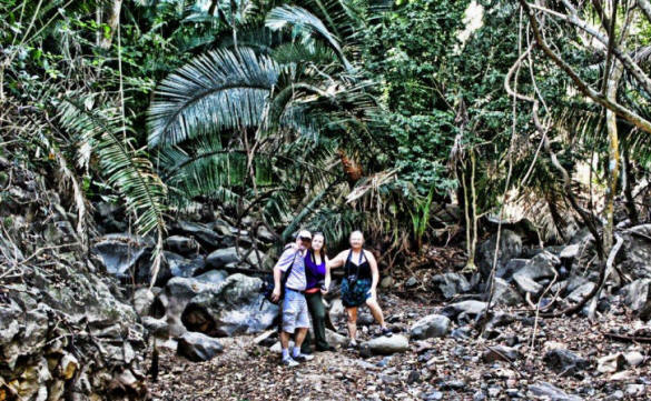 Valley of the Throat cutters, on the road to Alta vista, Nayarit, Bill Bell Photographs