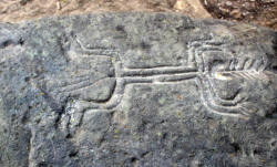 Valley of the Throat cutters, on the road to Alta vista, Nayarit, Bill Bell Photographs