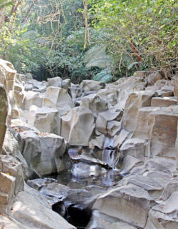Valley of the Throat Cutters, where you can find ancient 2000 year old petroglyphs on the road to Alta Vista, Nayarit, Bill Bell Photograph