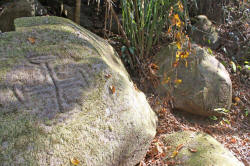 Valley of the Throat Cutters, where you can find ancient 2000 year old petroglyphs on the road to Alta Vista, Nayarit, Bill Bell Photograph