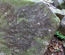 Valley of the Throat Cutters, where you can find ancient 2000 year old petroglyphs on the road to Alta Vista, Nayarit, Bill Bell Photograph
