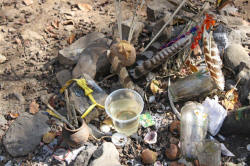 Valley of the Throat Cutters, where you can find ancient 2000 year old petroglyphs on the road to Alta Vista, Nayarit, Bill Bell Photograph
