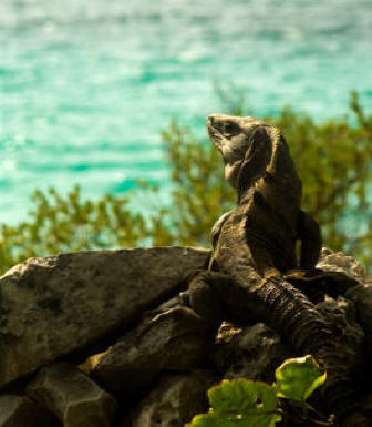 Tulum Quintana Roo Mexico Mayan Ruins Photography by Bill Bell