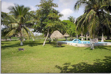 Hotel Coco Loco