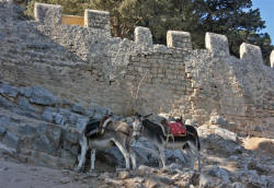 Lindos Rhodes Greece Photography by Bill and Dorothy Bell