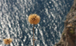 Lindos Rhodes Greece Photography by Bill and Dorothy Bell
