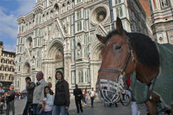 Florence Italy Photography by Bill and Dorothy Bell