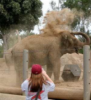 San Diego Zoo Photography by Bill Bell