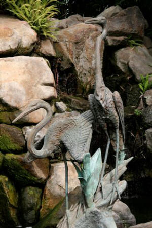 San Diego Zoo Photography by Bill Bell