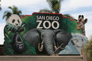 San Diego Zoo Photography by Bill Bell