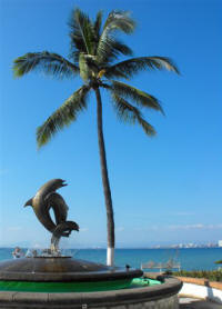 Puerto Vallarta Jalisco Mexico Photography by Bill Bell