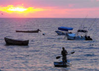 Puerto Vallarta Jalisco Mexico Photography by Bill Bell