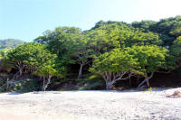 Lo de Marcos, Nayarit Mexico Photograph by Bill Bell