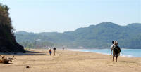 Lo de Marcos, Nayarit Mexico Photograph by Bill Bell
