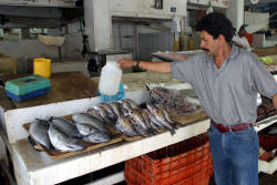 Ensenada's fish market is a great place to pick up your meal.  Bill Bell Photograph