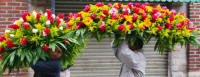 Oaxaca Mexico, Photography by Bill Bell