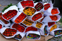 Oaxaca Mexico, Photography by Bill Bell