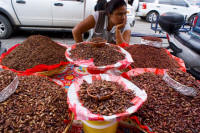Oaxaca Mexico, Photography by Bill Bell