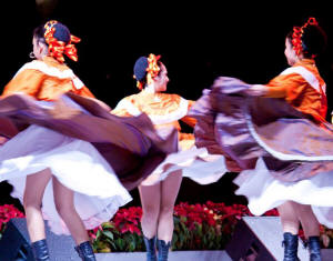 Guadalajara Folklorico Photographs by Bill Bell 