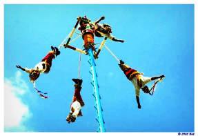 Tajin Bill Bell Photograph