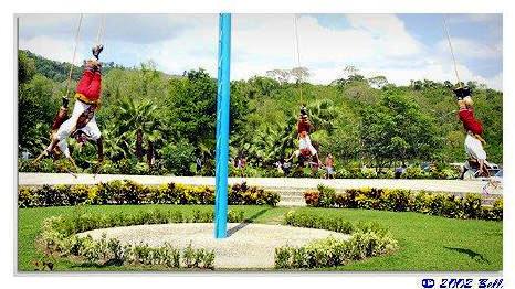 Tajin Bill Bell Photograph