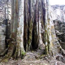 Becan Campeche Mexico Mayan Ruins Photography by Bill and Dorothy Bell