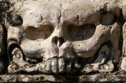 Palenque Chiapas Mexico Mayan Ruins Photograph by Bill Bell