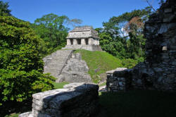 Palenque Chiapas Mexico Photography by Bill and Dorothy Bell