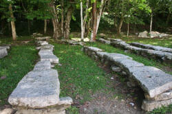 Palenque Chiapas Mexico Photography by Bill and Dorothy Bell