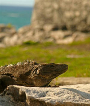 Tulum Quintana Roo Mexico Mayan Ruins Photography by Bill Bell