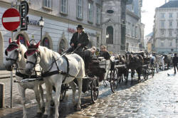 Vienna  Austria Photograph by Bill Bell and Dorothy Bell