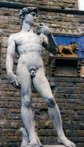 Not the original David More Italy Photography -  Florence, Rome, Venice,  Ancient Roman towns ...photography by Bill Bell