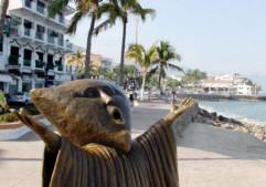Puerto Vallarta Jalisco Mexico Photography by Bill Bell