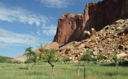 Utah's National Parks Photography,Photographs by Bill Bell 