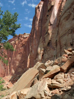 Utah's National Parks Photography,Photographs by Bill Bell 