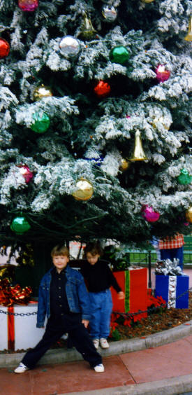 Christmas time disneyland The World of Disney Photographs - Disneyland and Disneyworld by Bill And Dot Bell