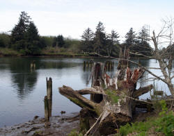 Oregon Coast Photography rugged coastline and Lighthouses Bill Bell Photography