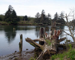 Oregon Coast Photography rugged coastline and Lighthouses Bill Bell Photography