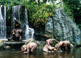 The World of Disney Photographs - Disneyland and Disneyworld by Bill And Dot Bell