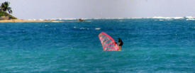 Wind surfer Dominican Republic Photography by Bill Bell