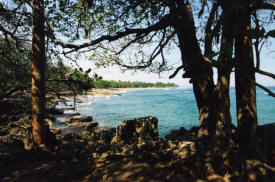 Coast Dominican Republic Photography by Bill Bell