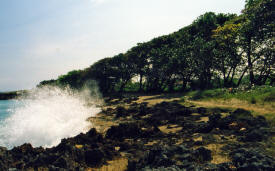 Dominican Republic Photography by Bill Bell