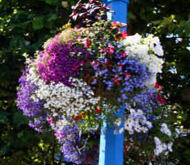 North Vancouver City Photography Photographs by Bill Bell 