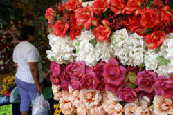 Tampico, Tamaulipas Mexico Photography by Bill Bell