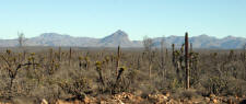 Guerrero Negro to Santa Rosalia Baja California Mexico Highway 1 Photographs Photography by Bill and Dot Bell