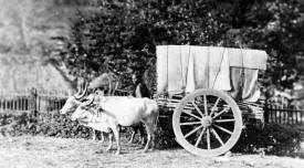 Cart India - 1886 Photography by Penn
