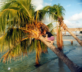 Dylan Bell picking Coconuts Isla Mujeres Quintana Roo, Mexico Photography By Bill and Dot Bell