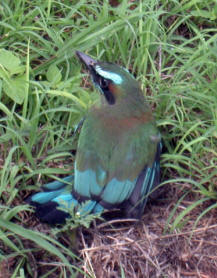 Kabah Mayan Ruins, Yucatan Mexico Bill ad Dot Bell Bell Photography