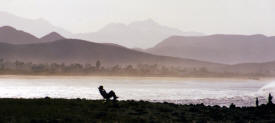 Contemplation Baja California Mexico Photography  Photography by Bill Bell