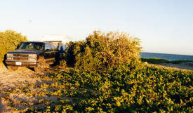 Campng Cabo Pulmo Baja California Mexico Photography  Photography by Bill Bell